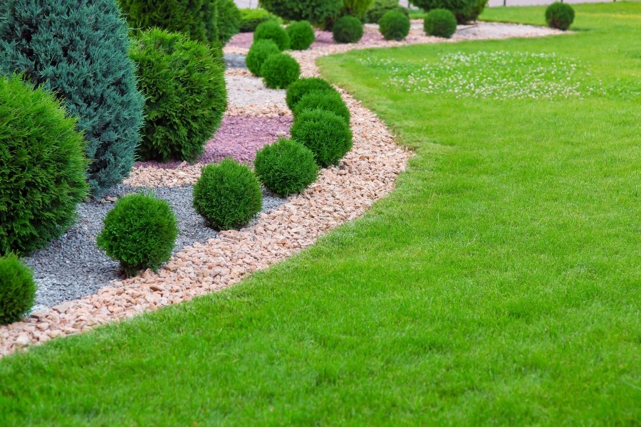 Ein gepflegter Garten. Auf der linken Seite ist ein Steinbeet mit verschiedenfarbigen Kieseln. Es ist akkurat mit verschiedengroßen Büschen bepflanzt, die alle rund geschnitten sind.