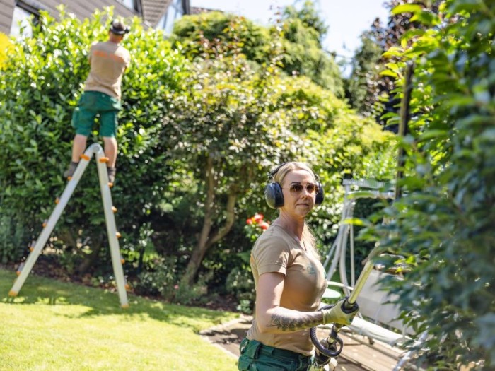 Gartenpflege in Köln-Porz Zündorf: Präziser Heckenschnitt für eine gepflegte Grünanlage