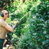 Eine Frau mit Gehörschutz schneidet mit einem elektrischen Gerät eine Hecke.