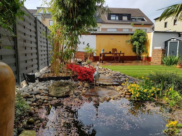Ein natürlich aussehender Teich in einem Garten, der Rand des Teichs hat mittelgroße Natursteine, gelb blühende Pflanzen und einen Plastikkranich. Dahinter ist eine große Bambuspflanze und auf der rechten Seite ist Rasenfläche.