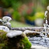 Eine Nahaufnahme eines Teichs, in den etwas hineingefallen ist. Man sieht das Wasser nach oben spritzen.